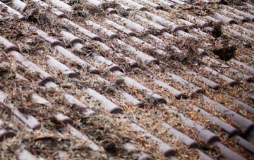 Myrtle Hill roof cleaning companies